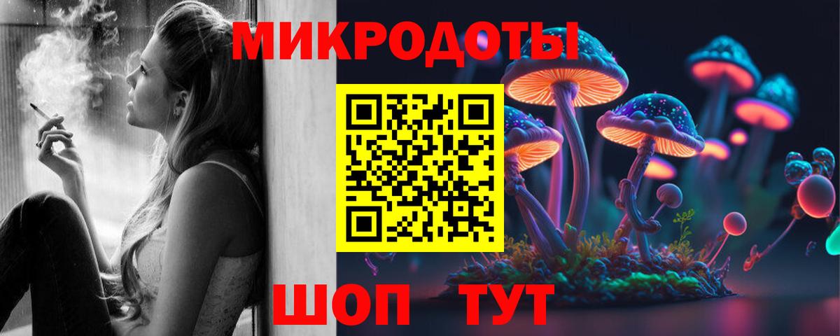 цена наркотик  Вход с VPN  Камень-на-Оби  Галлюциногенные грибы мухоморы 
